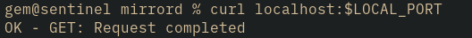 terminal output for the command curl localhost:$LOCAL_PORT